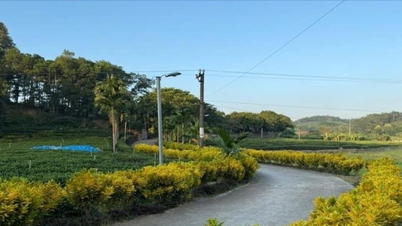 Thái Nguyên ưu tiên nguồn lực phát triển vùng đồng bào dân tộc thiểu số