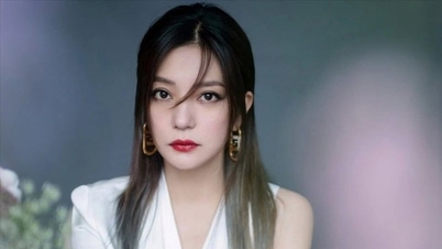 Zhao Wei telah dibebaskan dari tuduhan.