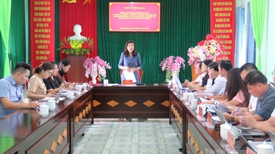 Village reorganization must ensure that special provisions are provided for particularly disadvantaged villages.