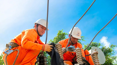 EVN earns nearly 52,000 billion VND in profit; could electricity prices decrease?
