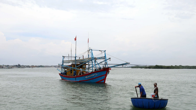 Ngư dân Đà Nẵng chung sức gỡ “thẻ vàng" IUU từ những tổ đội đoàn kết trên biển