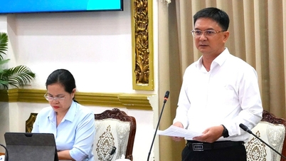 The Law on Special Urban Areas expands linkages between Ho Chi Minh City and other localities.