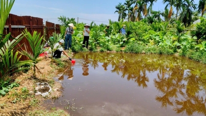 Wad Luu Kiem menangani kebimbangan alam sekitar yang dibangkitkan oleh beberapa ladang ternakan.