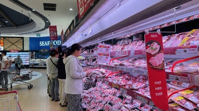 ハイフォンにおける小売市場の開拓。