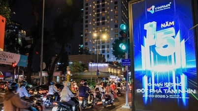 Ho-Chi-Minh-Stadt: Einmonatige Frist für Werbeschilder, denen die erforderlichen Bedingungen fehlen.
