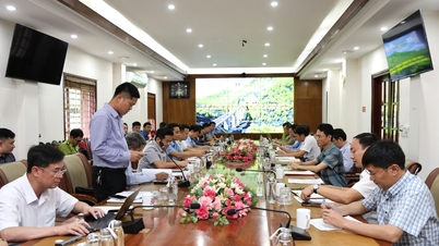 Provinsi Lai Châu dan Lào Cai berkoordinasi untuk mempercepat kemajuan proyek terowongan jalan Hoàng Liên Pass.
