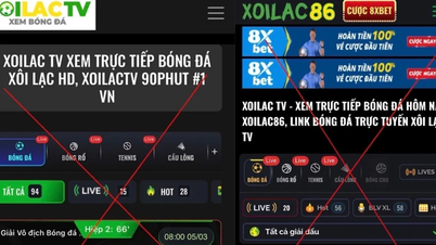Telif haklarını korumak, yaratıcı bir ekosistemi destekler.