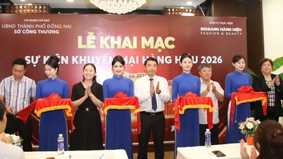 Opening Ceremony of the Dong Nai Mega Sale 2026