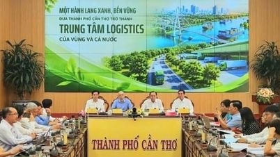 Cần Thơ tìm giải pháp phát triển logistics, khẳng định vai trò trung tâm vùng ĐBSCL