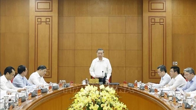 Tổng Bí thư, Chủ tịch nước Tô Lâm chủ trì buổi làm việc với Đảng uỷ Chính phủ