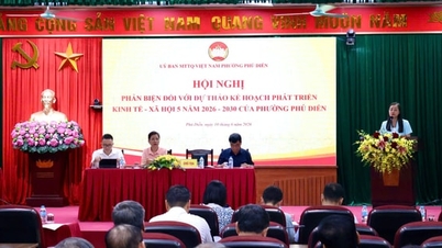 Phu Dien وارڈ کی ترقی کی سمت کے لیے تجاویز۔