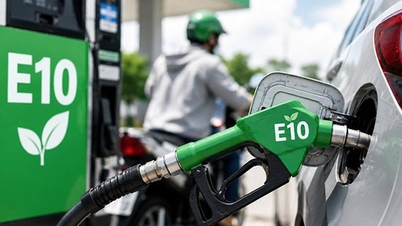 Cele mai recente informații despre benzina E10 după 10 zile de vânzări la nivel național.