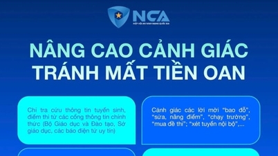 Riscos de fraude online: identificando e prevenindo-os.