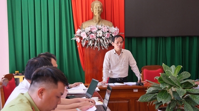 Dewan Rakyat Provinsi Lam Dong mengawasi pengelolaan hutan dan pekerjaan perlindungan di Dewan Pengelolaan Hutan Lindung Lam Vien.