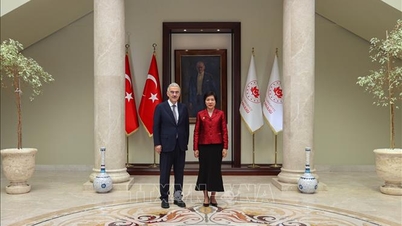 Vietnam ve Türkiye arasındaki yerel ekonomik bağların güçlendirilmesi.