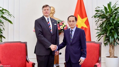 El ministro de Asuntos Exteriores, Le Hoai Trung, recibe al subsecretario de Estado de Estados Unidos.