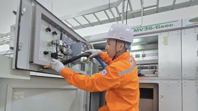 EVN leader: Changing peak hours will not affect household electricity bills.