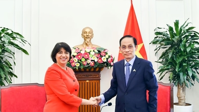 Anh sẵn sàng hỗ trợ Việt Nam đào tạo nguồn nhân lực chất lượng cao