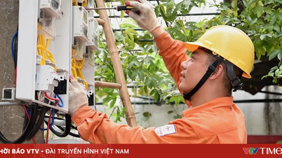 How will changing peak electricity hours affect households and businesses?