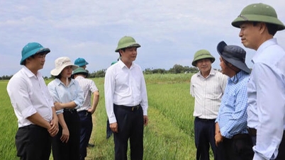 จังหวัดกวางตรี ดำเนินการตามมติที่ 257/2025/QH15: การเชื่อมโยงการลงทุนด้านโครงสร้างพื้นฐานกับการพัฒนาคุณภาพชีวิตในพื้นที่ด้อยโอกาส