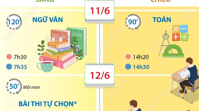 Thi tốt nghiệp THPT năm 2026 diễn ra trong hai ngày 11 và 12/6