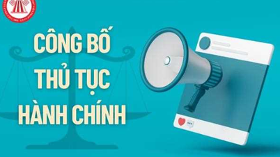 Provincia Lang Son anunță lista procedurilor administrative nou emise, modificate și completate în domeniul investițiilor în Vietnam, aflate sub conducerea și autoritatea Departamentului de Finanțe.