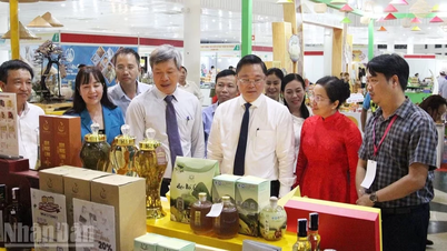 Da Nang: Hampir 200 gerai Vietnam mempamerkan produk OCOP.
