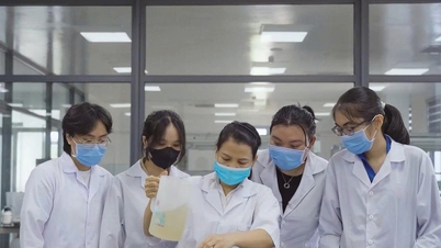 Hỗ trợ doanh nghiệp nghiên cứu và phát triển sản phẩm