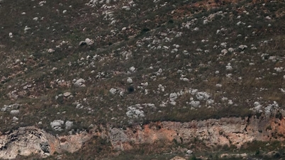 The United Nations is investigating wrongdoing in the conflict in Lebanon.