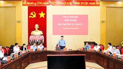 Rapat Komite Tetap Provinsi Ninh Binh: Fokus pada pengarahan pelaksanaan reorganisasi desa dan lingkungan.
