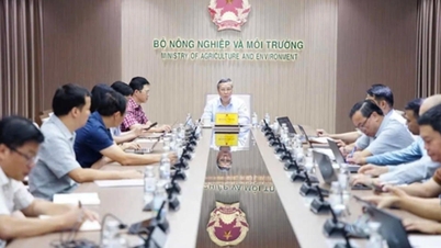 การตรวจสอบย้อนกลับของผลิตภัณฑ์ทางการเกษตรปูทางไปสู่การเติบโตของการส่งออกในระดับเลขสองหลัก