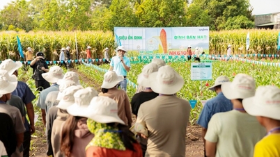 Ketika Bukit-Bukit Bangkit - Bagian 1: Dimulai dengan Perubahan pada Para Petani