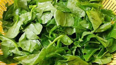Warning: 4 mistakes when eating spinach that can harm your health.