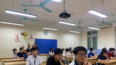 Những chiếc lá vào đề thi Ngữ văn thi tốt nghiệp THPT 2026