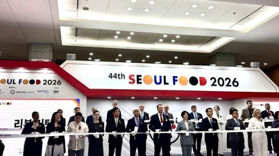 Đại sứ Vũ Hồ dự Khai mạc Seoul Food 2026, thăm các gian hàng Việt Nam