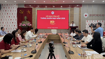 Lebih dari 760 miliar VND dimobilisasi untuk membantu masyarakat dalam keadaan sulit dan rentan.