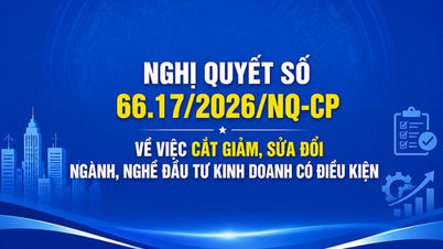 Guvernul a emis Rezoluția nr. 66.17/2026/NQ-CP privind reducerea și modificarea investițiilor condiționate și a sectoarelor de afaceri și profesiilor.