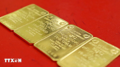 Guldpriserna fortsätter att falla, med SJC-guld som når 136 miljoner VND per tael.
