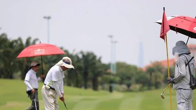 Seorang kepala departemen di provinsi Phu Tho diturunkan jabatannya karena bermain golf selama jam kerja.