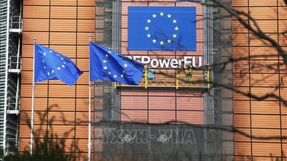 Pakiet suwerenności technologicznej – „ryzyko” Europy