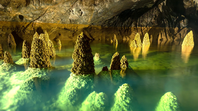 Phong Nha - destinasi ideal untuk menyatu dengan alam dan memulihkan diri.