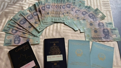 Returning 25 million VND and passports to tourists who left them behind on the ship.