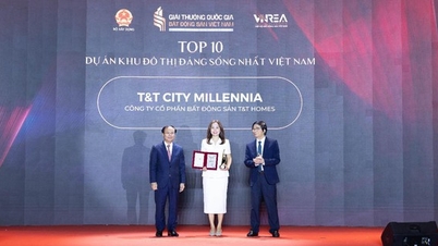 Okok, amiért a T&T City Millennia Vietnam egyik legélhetőbb projektje.