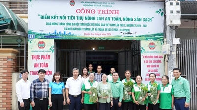 Meluncurkan titik penghubung untuk konsumsi produk pertanian yang aman di komune Thuan An.