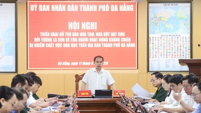 In Da Nang wordt een project uitgevoerd om 144 tijdelijke woningen af ​​te breken die toebehoren aan gezinnen van kinderen van verzetsstrijders die zijn blootgesteld aan chemische gifstoffen.