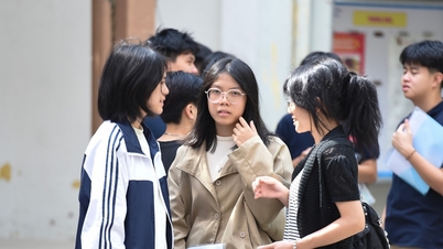 문학 시험에서 12명의 응시자가 규정을 위반했습니다.