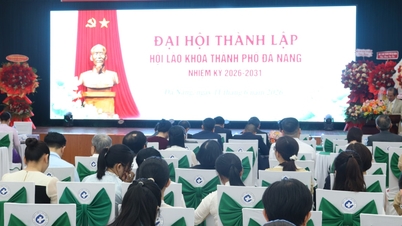 Da Nang perustaa Geriatrics Associationin.