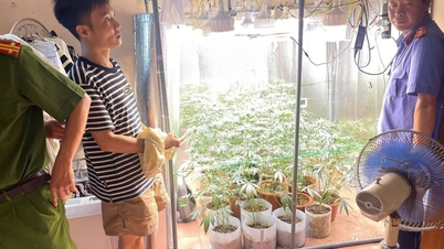 Meglepte a fiatalember beltéri kannabisztermesztési „szimulációs” rendszere.