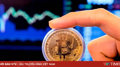 أسعار العملات المشفرة تتراجع بشكل حاد.