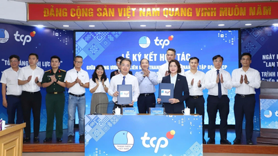 TCP: מבט לאחור על יותר מחצי עשור של ליווי נוער וייטנאמי.